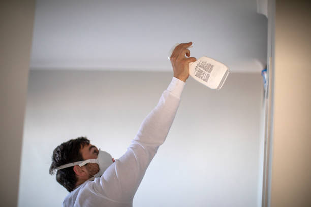 Best Best Mold Removal Companies  in Murrysville, PA
