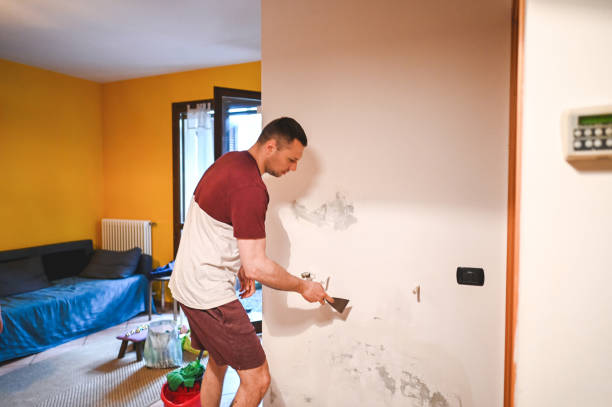 Best Certified Mold Removal  in Murrysville, PA